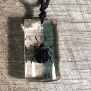 Encapsulated Real Beetle Necklace